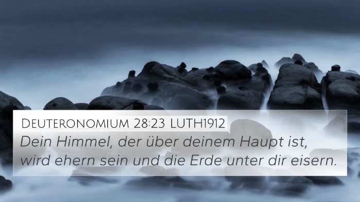 Deuteronomium 28:23 LUTH1912 Bible Verse Image