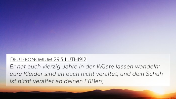 Deuteronomium 29:5 LUTH1912 Bible Verse Image
