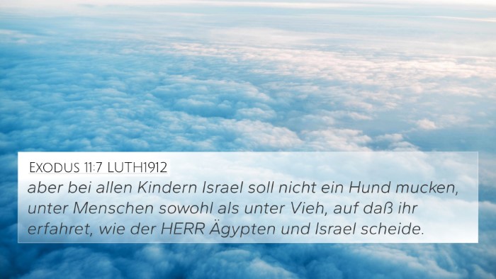 Exodus 11:7 LUTH1912 4K Wallpaper - aber bei allen Kindern Israel soll nicht ein Hund - 4K Wallpaper Bible Verse