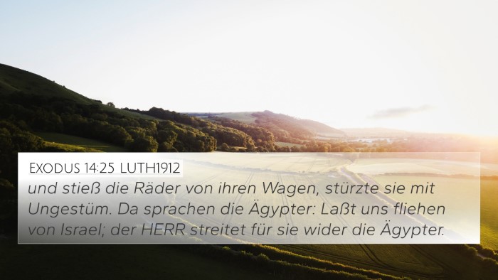 Exodus 14:25 LUTH1912 Bible Verse Image