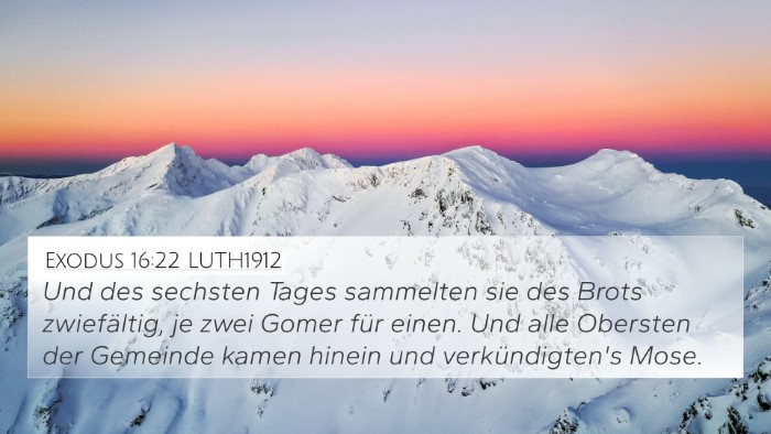 Exodus 16:22 LUTH1912 Bible Verse Image