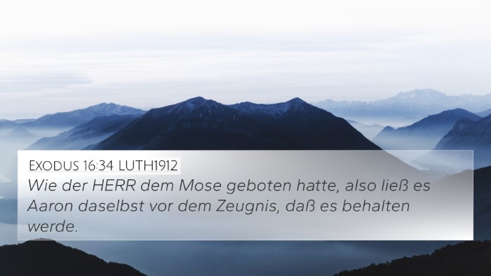 Exodus 16:34 LUTH1912 Bible Verse Image