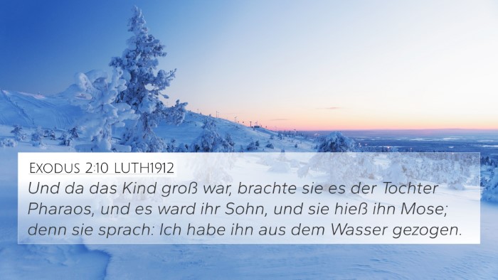 Exodus 2:10 LUTH1912 Bible Verse Image