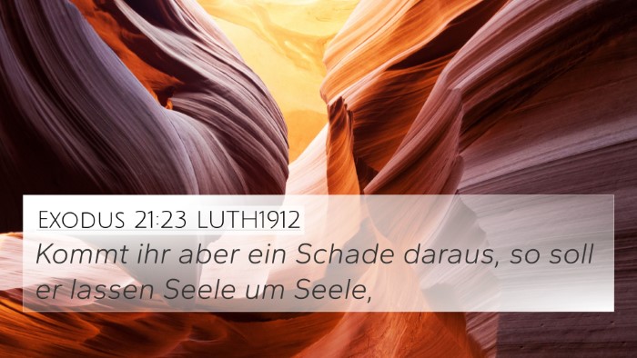 Exodus 21:23 LUTH1912 Bible Verse Image