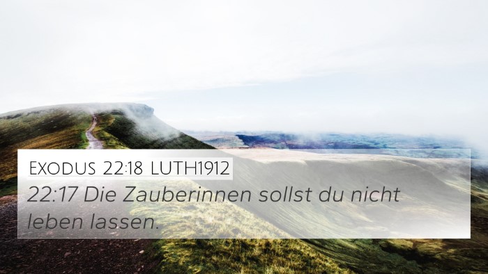 Exodus 22:18 LUTH1912 Bible Verse Image