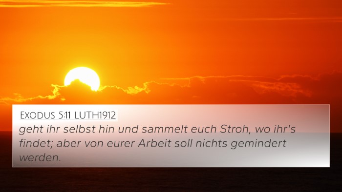 Exodus 5:11 LUTH1912 4K Wallpaper - geht ihr selbst hin und sammelt euch Stroh, wo - 4K Wallpaper Bible Verse
