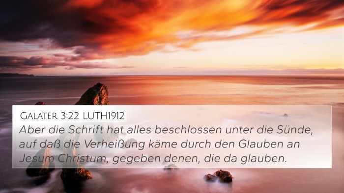 Galater 3:22 LUTH1912 Bible Verse Image
