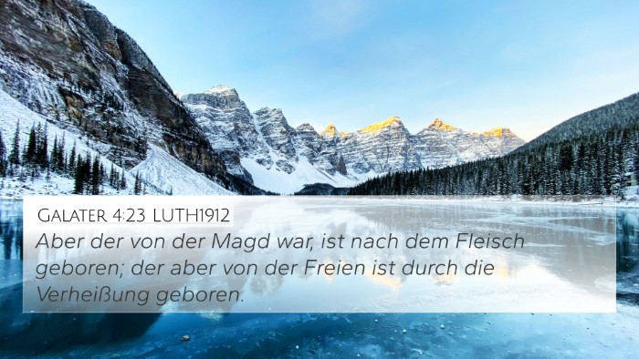 Galater 4:23 LUTH1912 Bible Verse Image