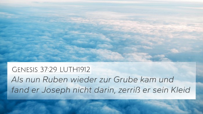 Genesis 37:29 LUTH1912 Bible Verse Image