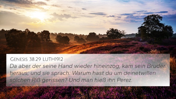 Genesis 38:29 LUTH1912 Bible Verse Image