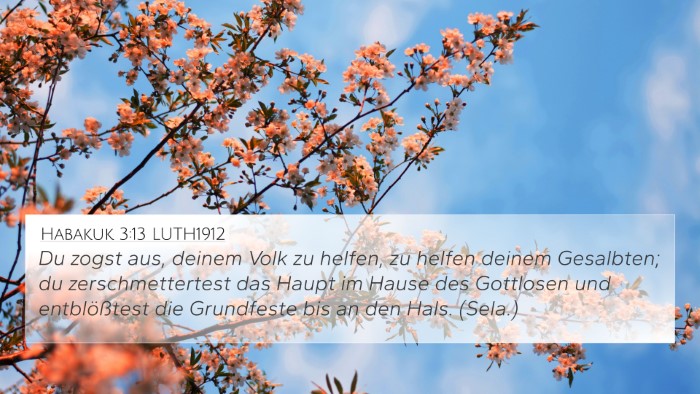 Habakuk 3:13 LUTH1912 Bible Verse Image