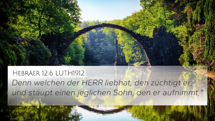 Hebräer 12:6 LUTH1912 Bible Verse Image