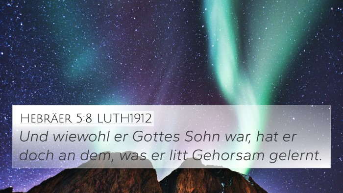 Hebräer 5:8 LUTH1912 Bible Verse Image