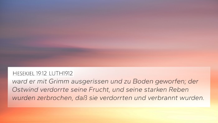 Hesekiel 19:12 LUTH1912 Bible Verse Image