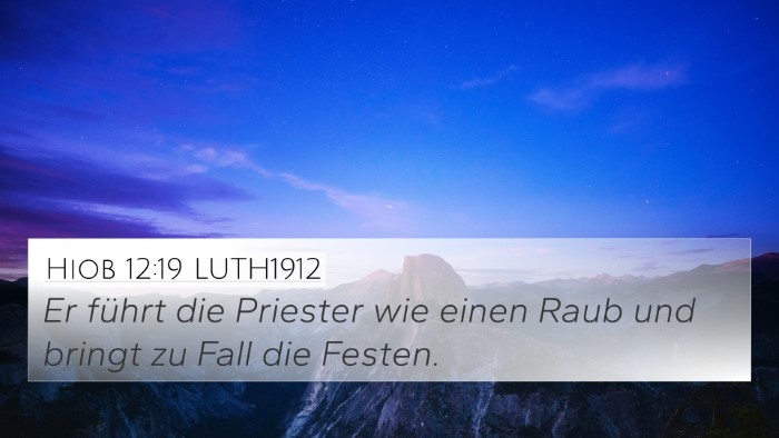 Hiob 12:19 LUTH1912 Bible Verse Image