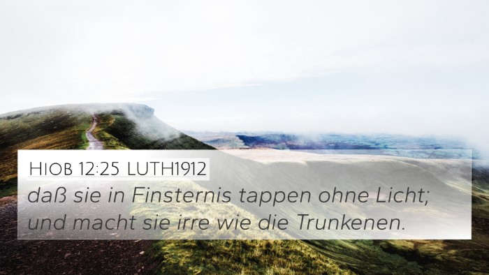 Hiob 12:25 LUTH1912 Bible Verse Image