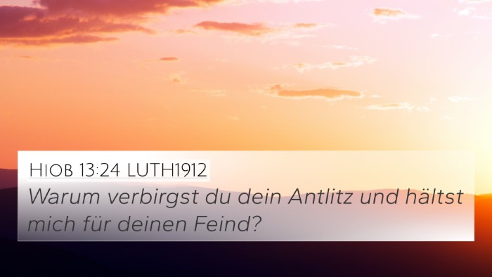 Hiob 13:24 LUTH1912 Bible Verse Image
