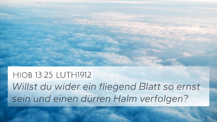 Hiob 13:25 LUTH1912 Bible Verse Image