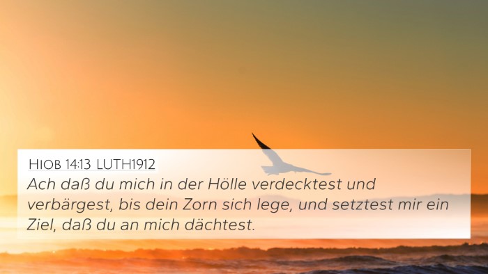 Hiob 14:13 LUTH1912 Bible Verse Image