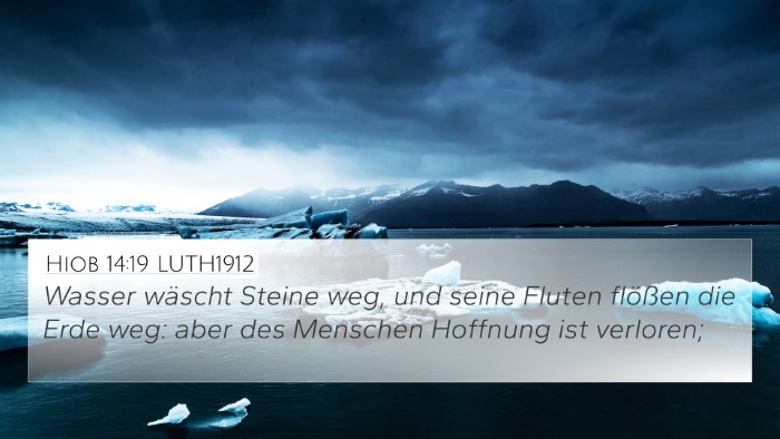 Hiob 14:19 LUTH1912 Bible Verse Image