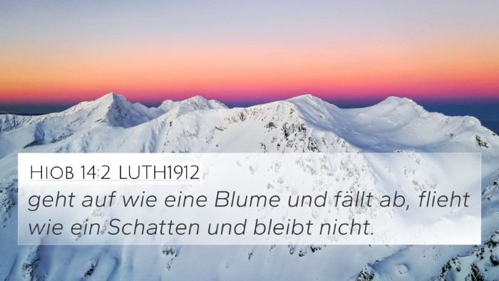 Hiob 14:2 LUTH1912 Bible Verse Image