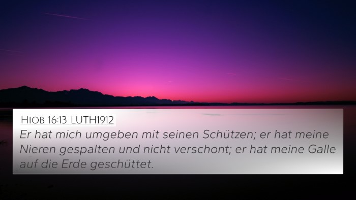Hiob 16:13 LUTH1912 Bible Verse Image