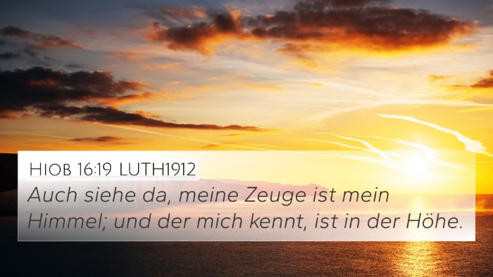 Hiob 16:19 LUTH1912 Bible Verse Image