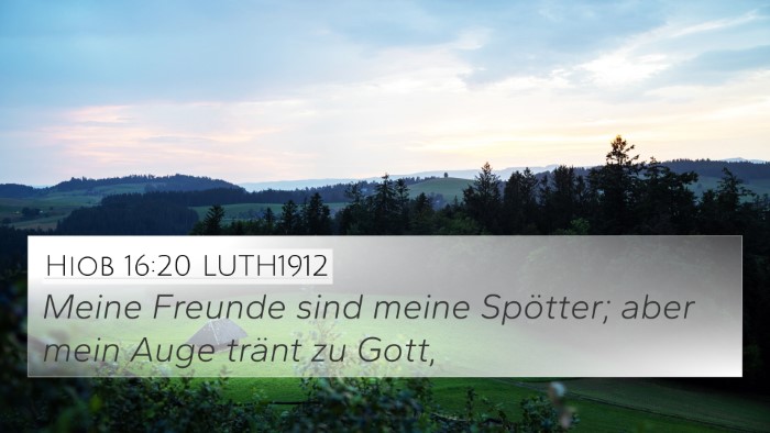 Hiob 16:20 LUTH1912 Bible Verse Image