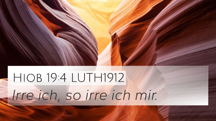 Hiob 19:4 LUTH1912 4K Wallpaper - Irre ich, so irre ich - 4K Wallpaper Bible Verse