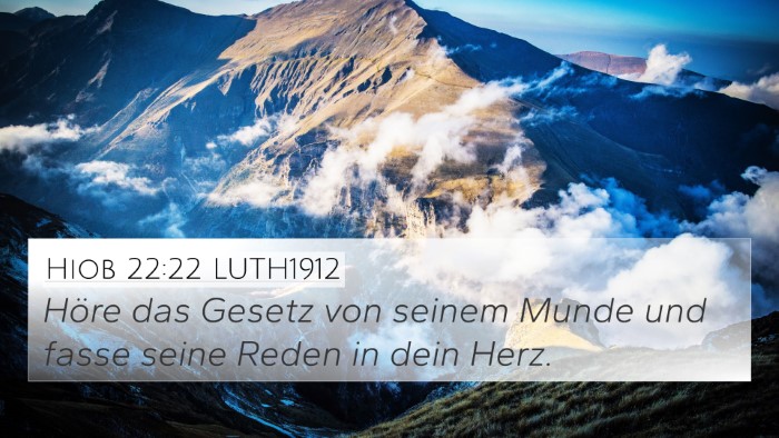 Hiob 22:22 LUTH1912 Bible Verse Image