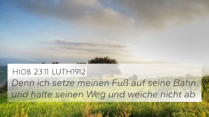 Hiob 23:11 LUTH1912 Bible Verse Image
