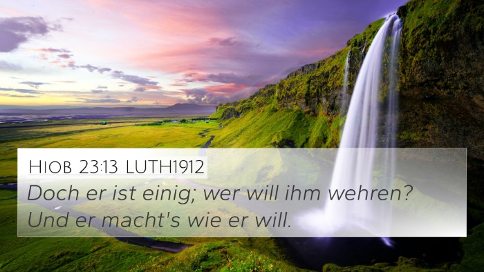 Hiob 23:13 LUTH1912 Bible Verse Image