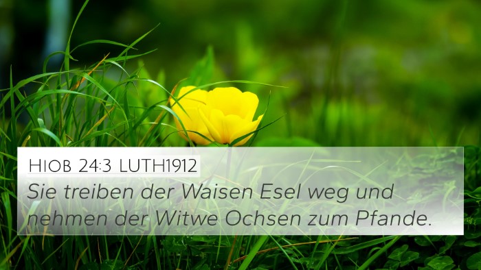 Hiob 24:3 LUTH1912 Bible Verse Image
