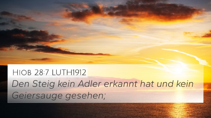 Hiob 28:7 LUTH1912 Bible Verse Image
