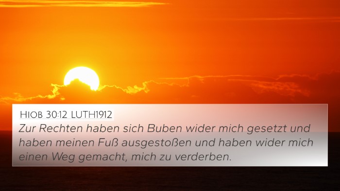 Hiob 30:12 LUTH1912 Bible Verse Image