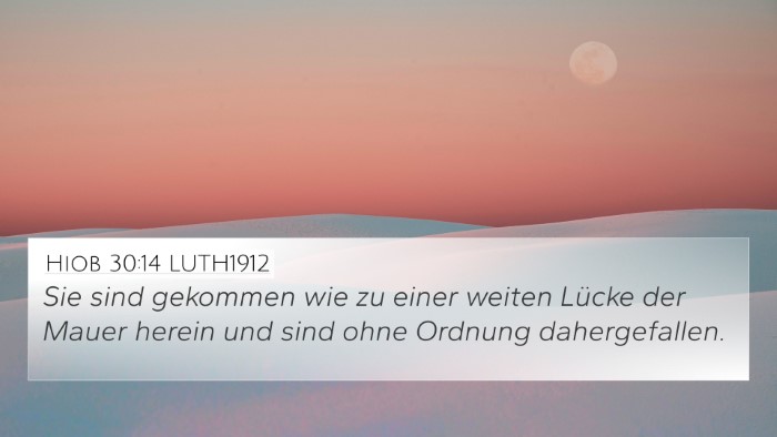 Hiob 30:14 LUTH1912 Bible Verse Image