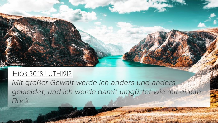 Hiob 30:18 LUTH1912 4K Wallpaper - Mit großer Gewalt werde ich anders und anders - 4K Wallpaper Bible Verse