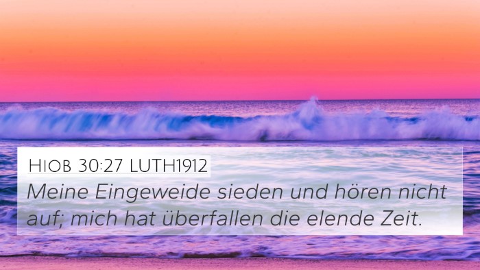 Hiob 30:27 LUTH1912 Bible Verse Image