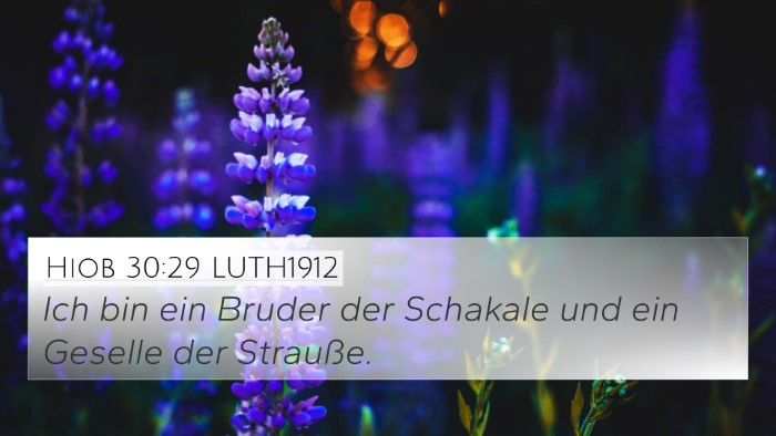 Hiob 30:29 LUTH1912 Bible Verse Image