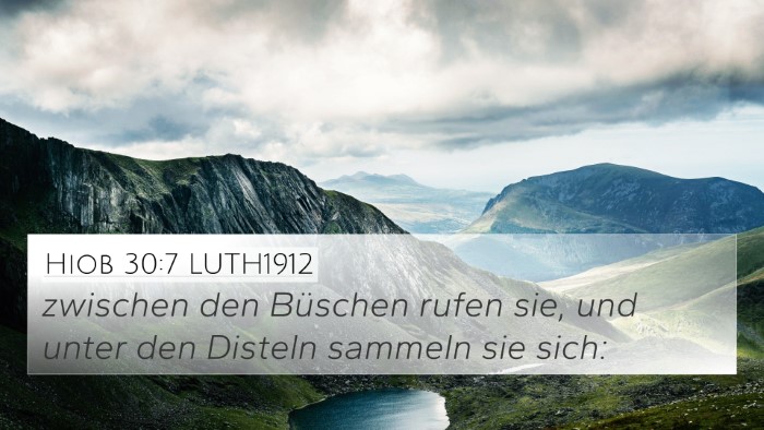 Hiob 30:7 LUTH1912 Bible Verse Image