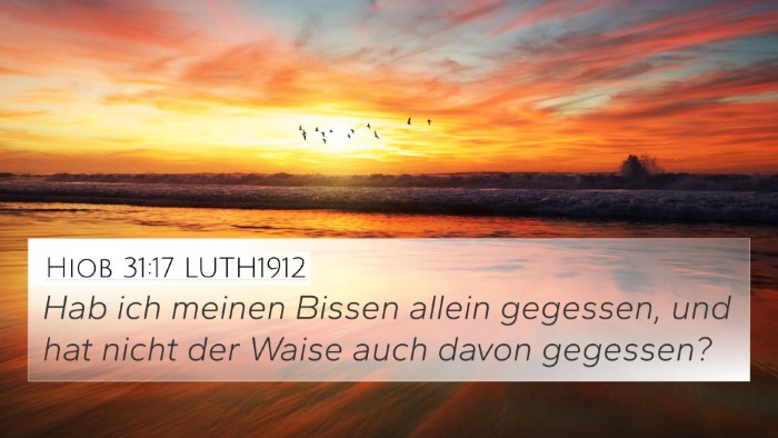 Hiob 31:17 LUTH1912 Bible Verse Image