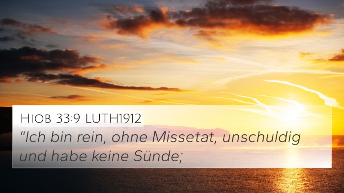 Hiob 33:9 LUTH1912 Bible Verse Image