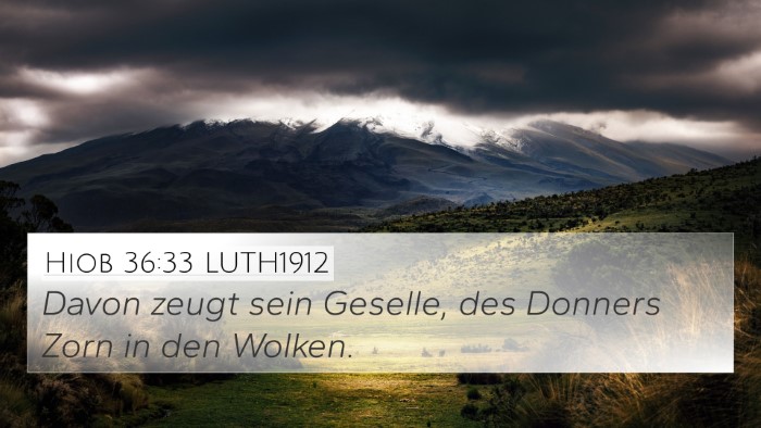Hiob 36:33 LUTH1912 Bible Verse Image