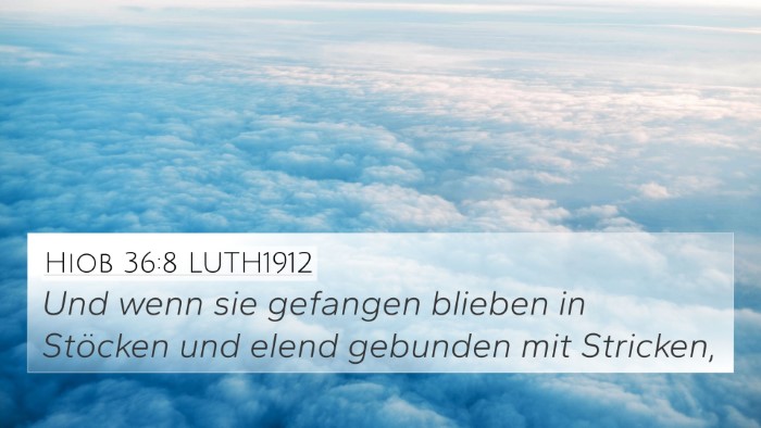 Hiob 36:8 LUTH1912 Bible Verse Image