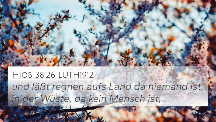 Hiob 38:26 LUTH1912 4K Wallpaper - und läßt regnen aufs Land da niemand ist, in - 4K Wallpaper Bible Verse