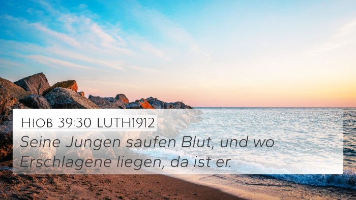 Hiob 39:30 LUTH1912 Bible Verse Image