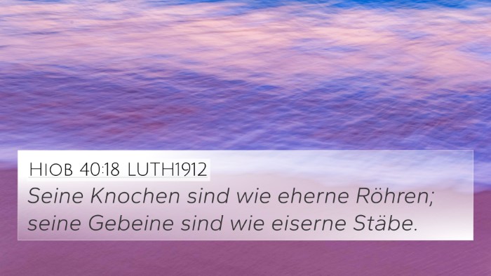 Hiob 40:18 LUTH1912 Bible Verse Image