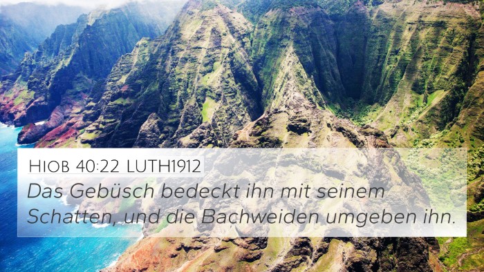 Hiob 40:22 LUTH1912 Bible Verse Image
