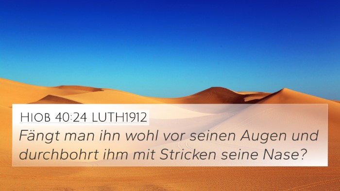 Hiob 40:24 LUTH1912 4K Wallpaper - Fängt man ihn wohl vor seinen Augen und - 4K Wallpaper Bible Verse