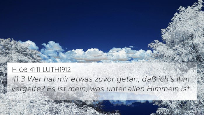 Hiob 41:11 LUTH1912 Bible Verse Image